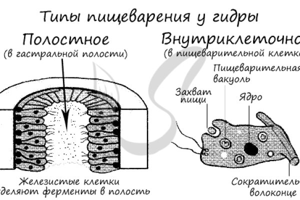 Кракен короткая ссылка