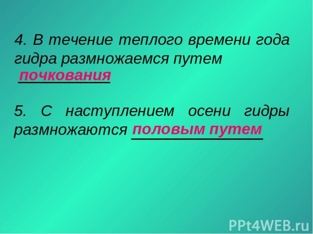 Что такое кракен в даркнете